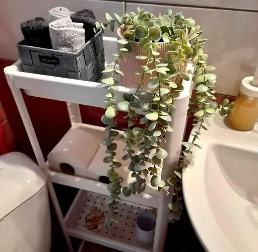 Appartement Sady's House